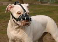 American Bulldog muzzles, Wire Basket Dog Muzzles for Bulldog,Leather bulldog muzzles for bulldogs