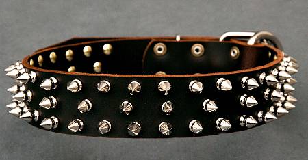 American Bulldog collar