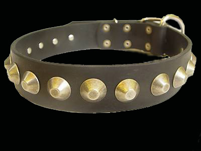 American Bulldog dog collar