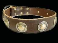 American Bulldog dog collar