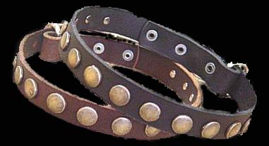 American Bulldog collar