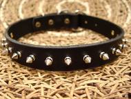American Bulldog Lather spiked dog collar 