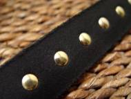 Spiked American Bulldog collar