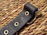 Spiked American Bulldog collar