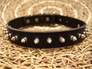Spiked American Bulldog collar