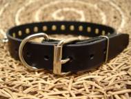 Spiked American Bulldog collar