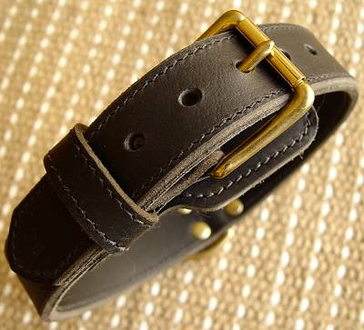 dog collar